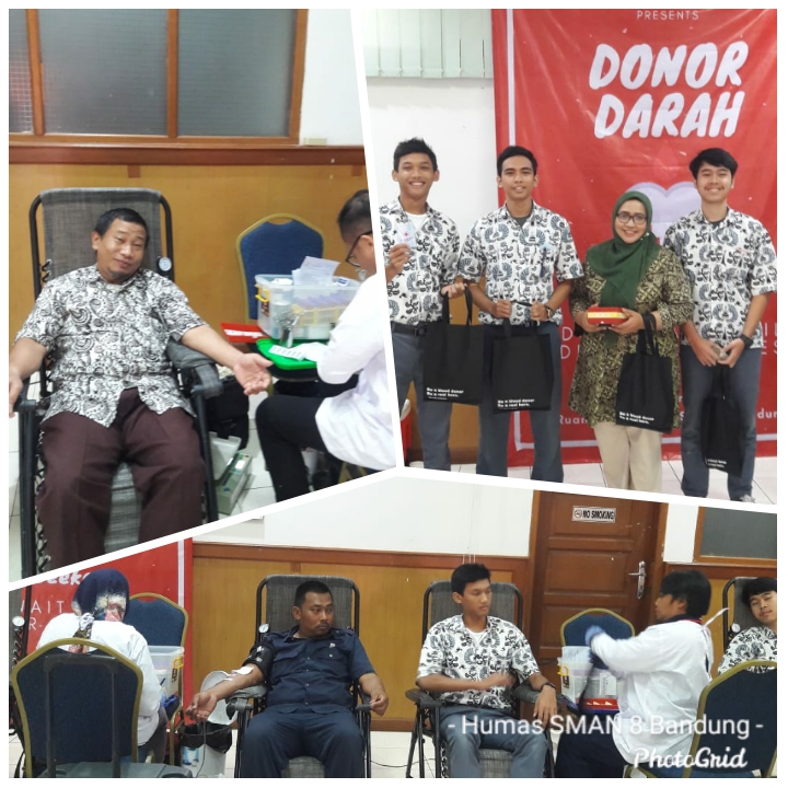 DONOR DARAH 8